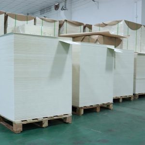 White Cardboard Paper/FBB /Ivory Card Board Paper in Sheet /roll