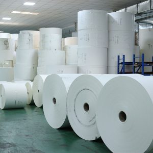Food Grade Cupstock Manufacturing Pla Paper Cup Raw Material 310 Gsm Pe Coated Paper Roll